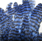 ������� ���� Hen feathers ������ ���� - ����������